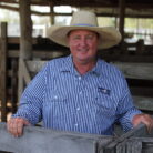 Paul Hastings - Livestock Team | Burnett Livestock