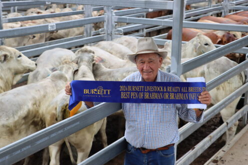 2024 All Breeds Steer Sales Winners | Burnett Livestock & Realty