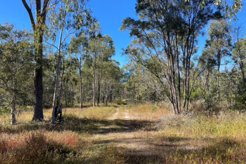 323 Eureka Road, Golden Fleece