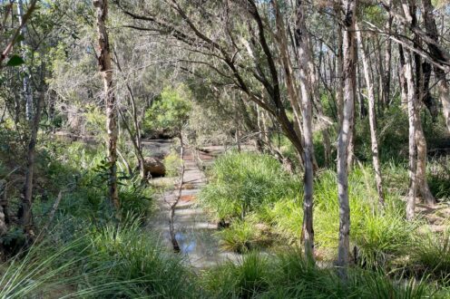 323 Eureka Road, Golden Fleece