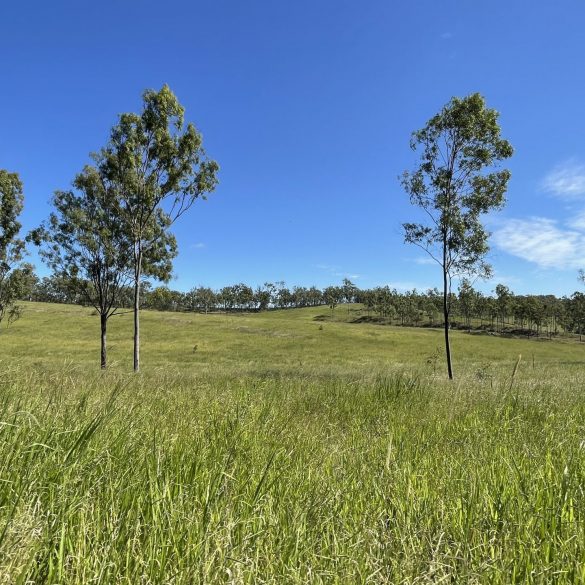Address available on request, Mount Perry, QLD 4671 | Burnett Realty