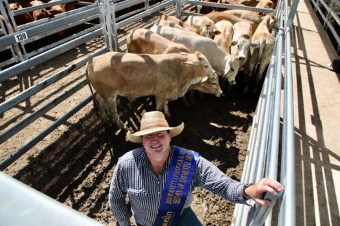 2024 All Breeds Steer Sales Winners | Burnett Livestock & Realty