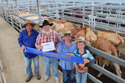 2023 All Breeds Steer Sale Winners | Burnett Livestock & Realty